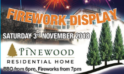 Pinewood firework display 2018
